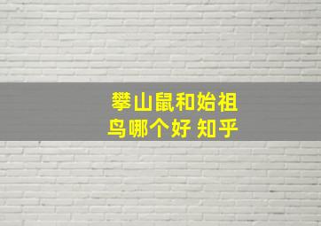 攀山鼠和始祖鸟哪个好 知乎